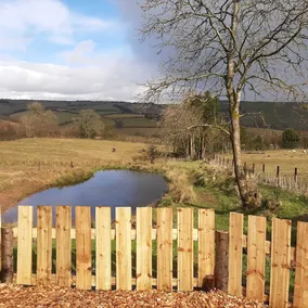 Eco Accommodation Cornflower Holiday - Image 3