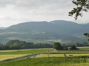 Fattoria Di Marena - Image 3