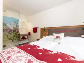 Swanky Apartment in Tyrol Near Ski Area - Image 5