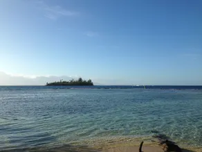Tamanu - Image 4