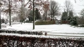 B&B Uden-Zuid - Image 4