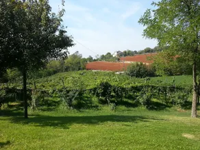 Locanda Botteghino Risorto - Image 5