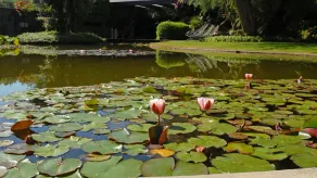 Villa Margaret 8&2 - Image 3