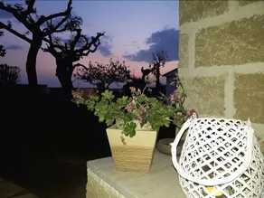 B&B Lazzarello - Image 4