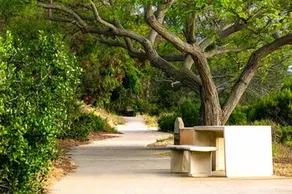 La Jolla Cabana - Image 2