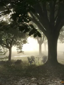 Domaine de Lascaux - Image 2