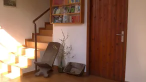 Albergue de Sin - Image 2