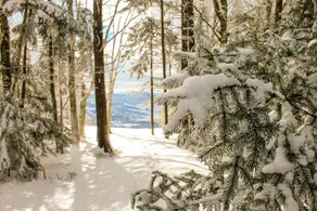 Canaan Valley Resort State Park - Image 5