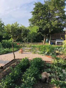 Agriturismo Brocca - Image 2