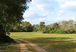 Agroturismo Ses Arenes - Image 5