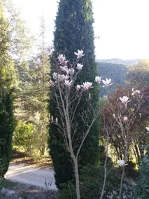 Luberon's Hidden Gem - Image 2