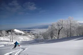 Furano Prince Hotel - Image 3