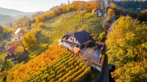 Vineyard Cottage Bregac - Image 5
