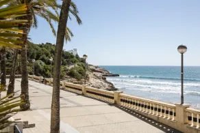 Apartamento Sun La Marina - Image 5