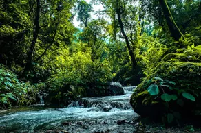 Haut Monde Hill Stream Resort and Spa - Image 2