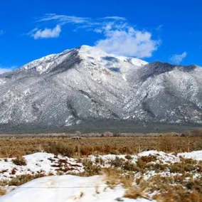 Royal Bear Lodge & Casita - Image 3