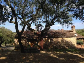 La Macera - Image 5