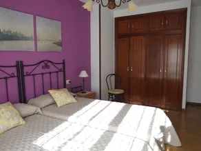 Spacious apartment in Villavivciosa - Image 4