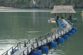 Catba Sandy Beach Resort - Image 5