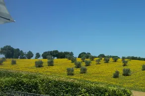 Agriturismo La Contea by Bice - Image 3