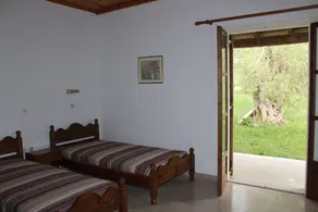 Repose Olive Grove Roda - Image 3
