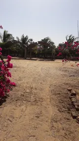 Baobab Lodge - Image 2