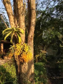 Baan Huay Namrin - Image 5