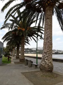 House With 3 Bedrooms in Oleiros, With Wonderful City View, Pool Acces - Image 3