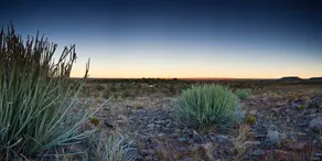 NWR Hobas Camp - Image 2