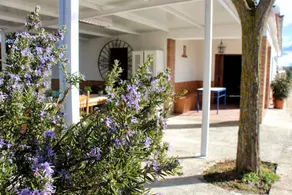 Cortijo El Lebrillo - Image 2