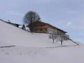 Luxurious Mansion in Söll Near Forest - Image 3
