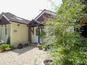 The Nest - Image 3