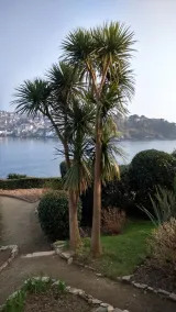 Baytree B&B - Image 2
