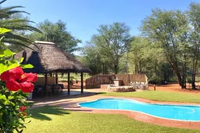 Zingela Nature Reserve - Leadwood Lodge - Image 4