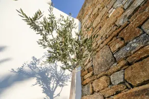 Avra House - Image 5