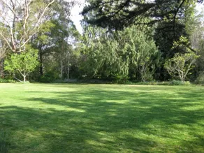 Leura Country Cottage - Image 5