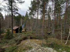 Vidinge Gard - Image 2