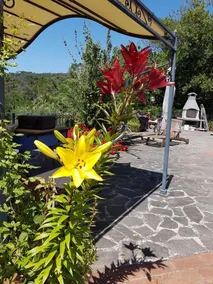 Apartment With 2 Bedrooms in Provincia di Livorno, With Enclosed Garden and Wifi - 15 km From the Beach - Image 5