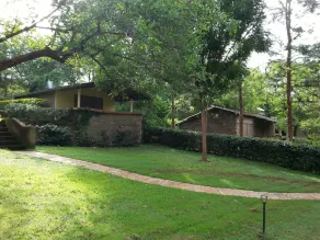 Savage Wilderness - Image 1