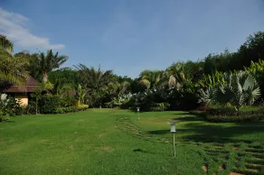 Baan Zoe - Image 4