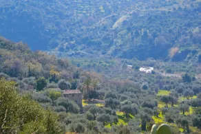 Masseria Maggiore - Image 2