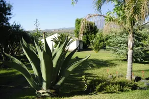 Azienda Agrituristica Mendolito dell'Etna - Image 2