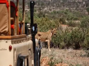 Saruni Samburu - Image 2