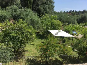 Green House Corfu - a Perfect Place to Unwind - Image 3