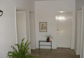Apartment Zarko - 20 m from beach - Image 5