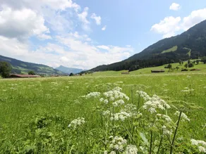 Apartment in Brixen im Thale With Balcony and Garden - Image 4