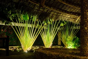 Kivulini Luxury Resort - Image 2