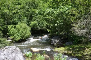 Moulin de Record - Image 2