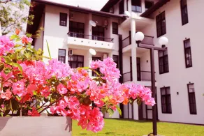 3R Resort By Blue Bird - Image 2