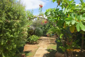 Hotel Ceylon Heritage - Image 5